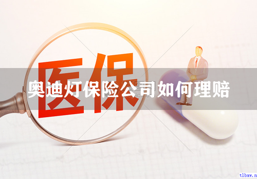 奥迪灯保险公司如何理赔