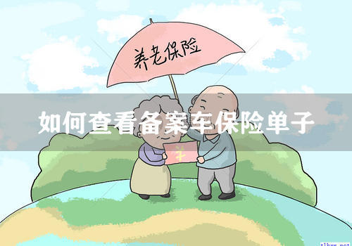 如何查看备案车保险单子