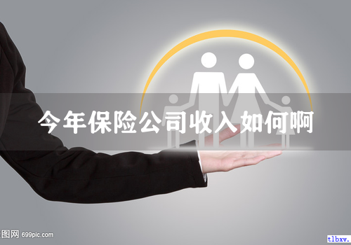 今年保险公司收入如何啊