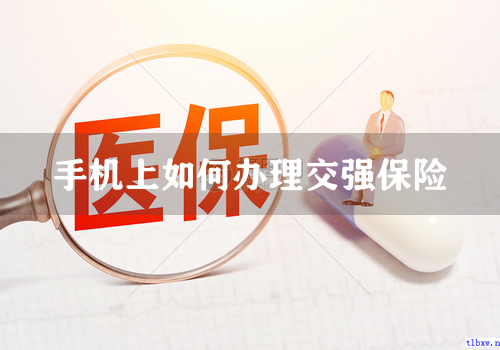 手机上如何办理交强保险