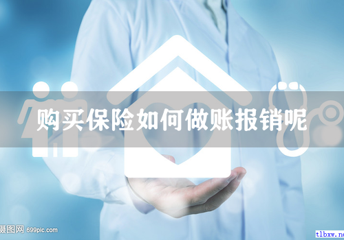 购买保险如何做账报销呢